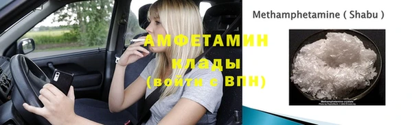 прущие грибы Алексин