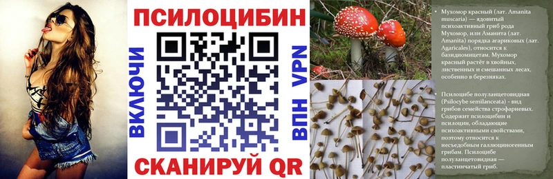 Купить закладки  Сухой Лог  Галлюциногенные грибы прущие грибы 
